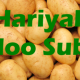 Hariyali Aloo Recipe