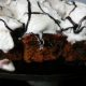 Dates Brownie Sizzle Recipe