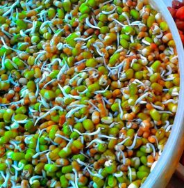Sprouts Salad Recipe
