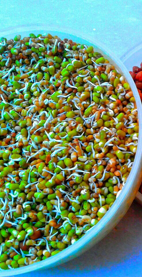 Sprouts Salad Recipe