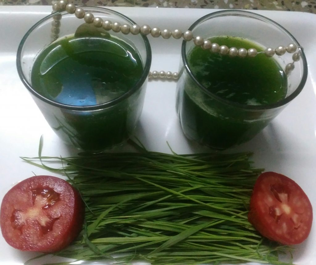 Wheat Grass Shots Recipe