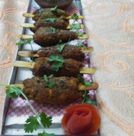 Soya Kabab : Nutritious and Tasty Snacks
