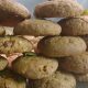 Mixed Dry Fruits Cookies - Kids Special!