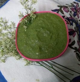 Raw Mango Mint Neem Chutney !