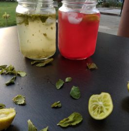 Mint And Rose Flavored Neebu Pani Recipe