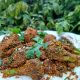 Broccoli Crunchy Masala Recipe