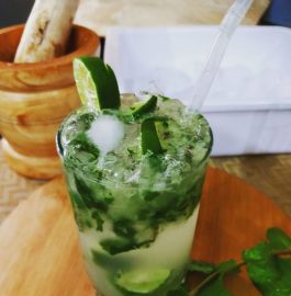 Fresh Lemon Mint Mojito Recipe