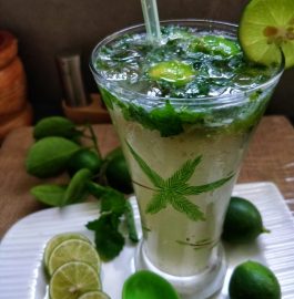 Lemon Mint Mocktail Recipe