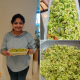 Green Chutney Rice Recipe