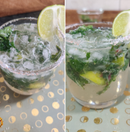 Lemon Mint Mojito Recipe