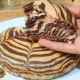 Zebra Cake | Eggless Zebra Cake Recipe