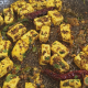 Pahadi Paneer | Pahadi Paneer Masala Recipe